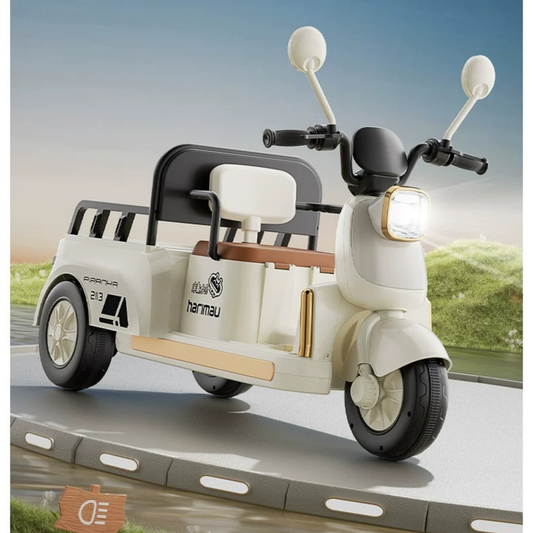 Kids Electric Cargo Bike