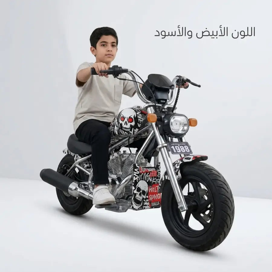 Harley-Style 24Volt Electric Bike
