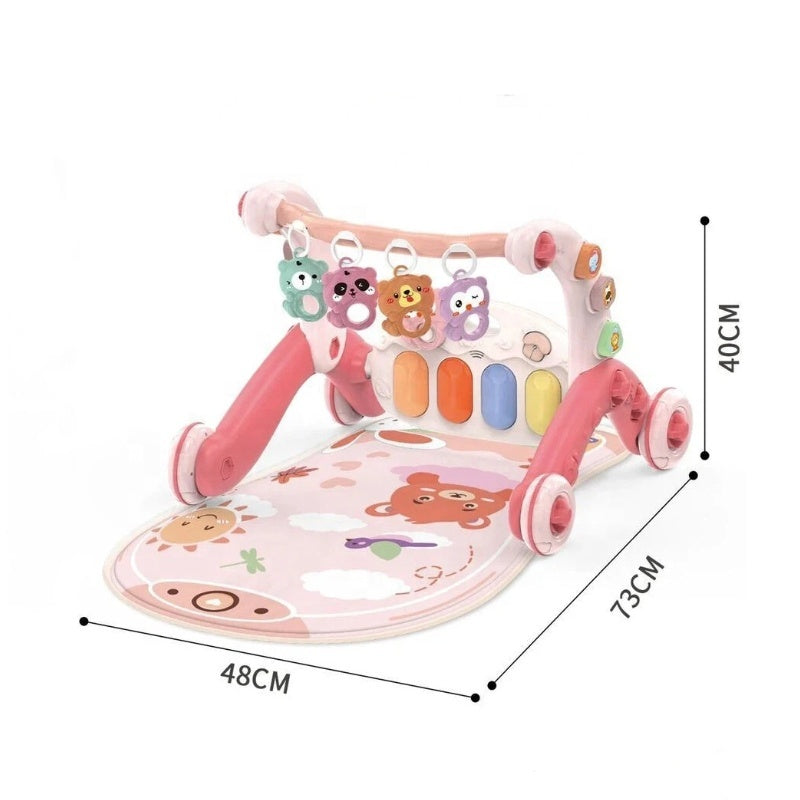 6 in 1 Baby walker with Piano rack